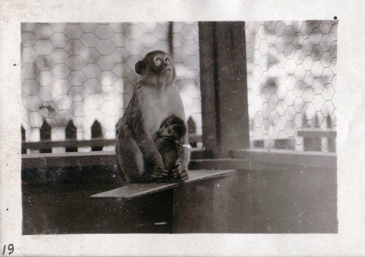 Click to display the next picture