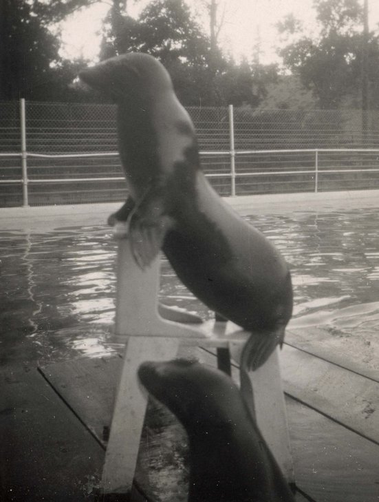 Click to display the next picture