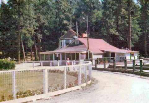 Click to display the next picture