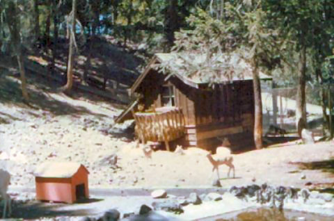 Click to display the next picture